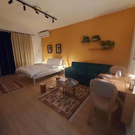Vibe تيرانا