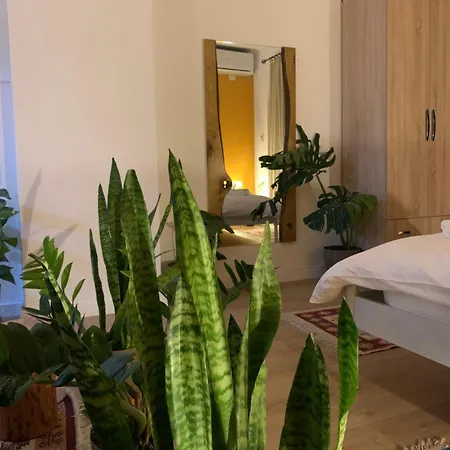 Vibe Apartamento *