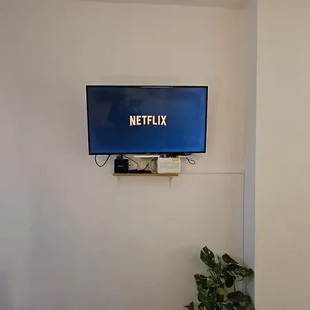 شقة Vibe *